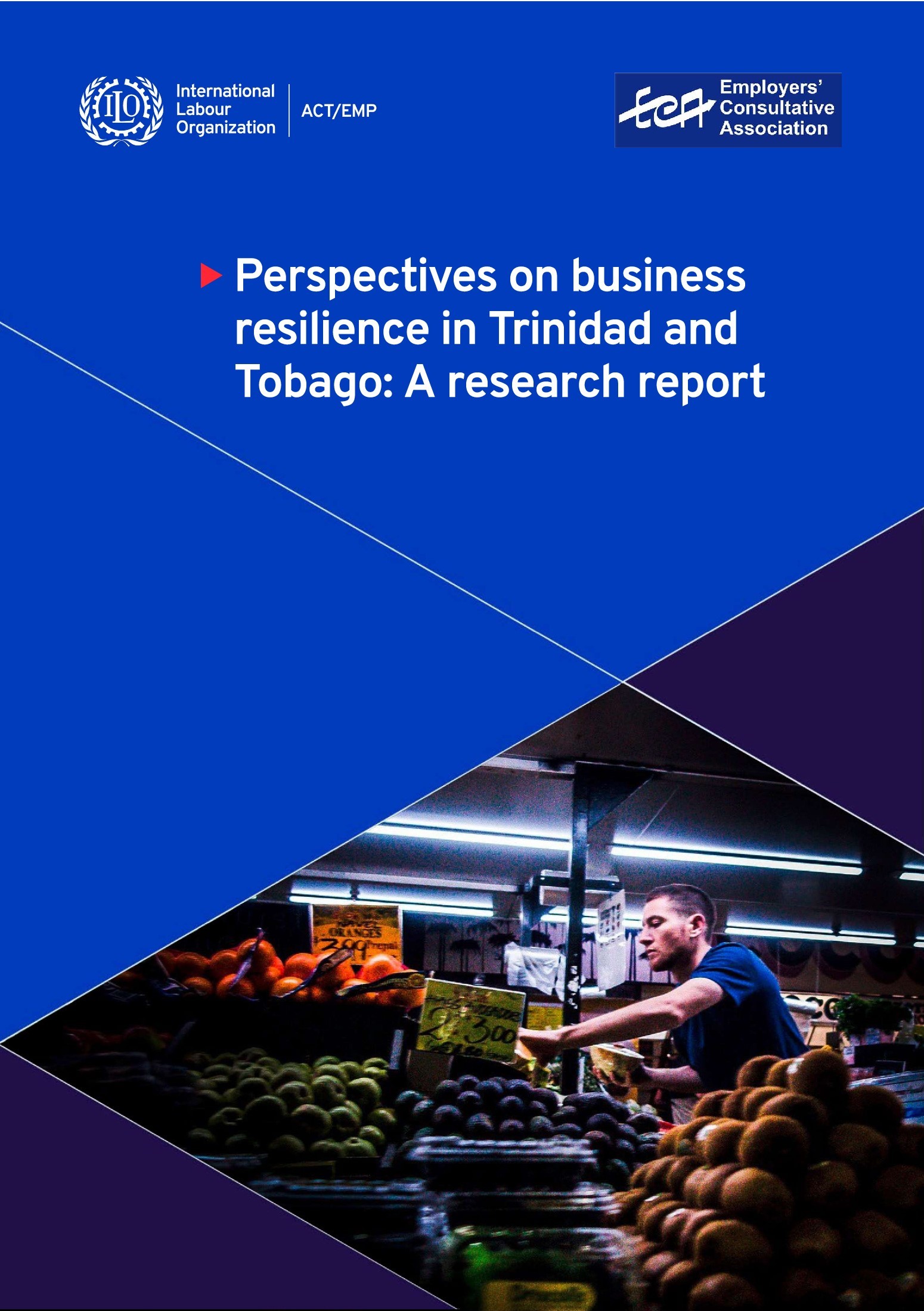 Research Report Cover Image