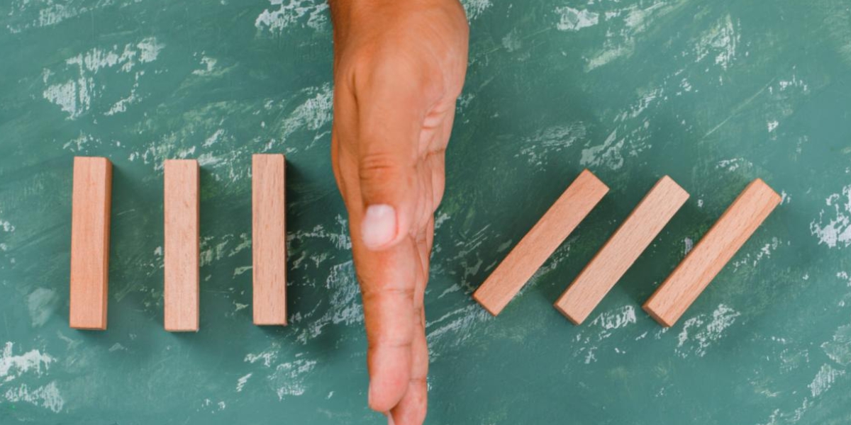 The Business Resilience Bootcamp: A Leadership Guide to Crisis-Proof Your Business