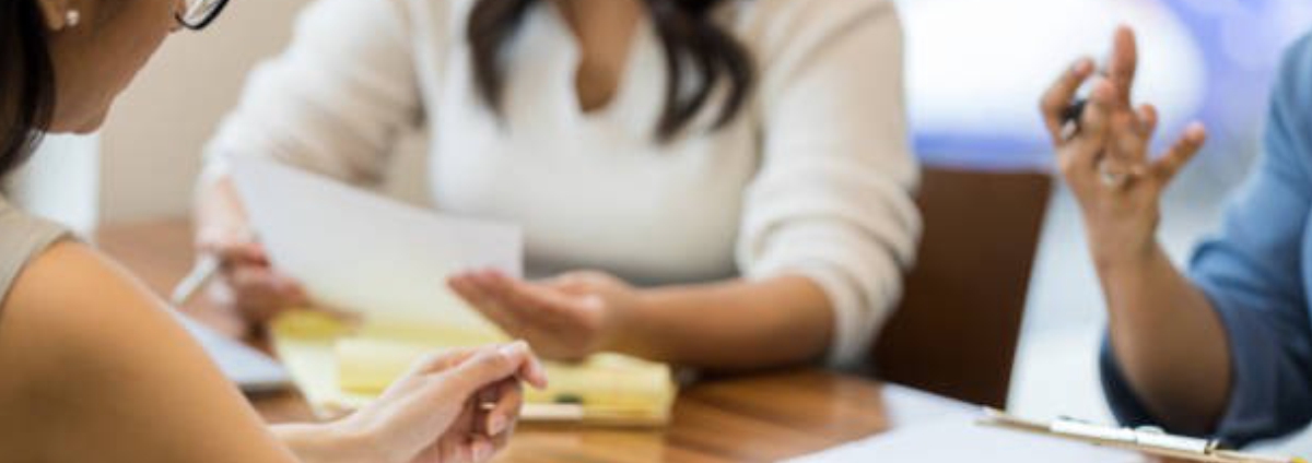 Taking A Performance Pulse: The Leadership Guide to Navigating the Performance Appraisal Mid-Year Review