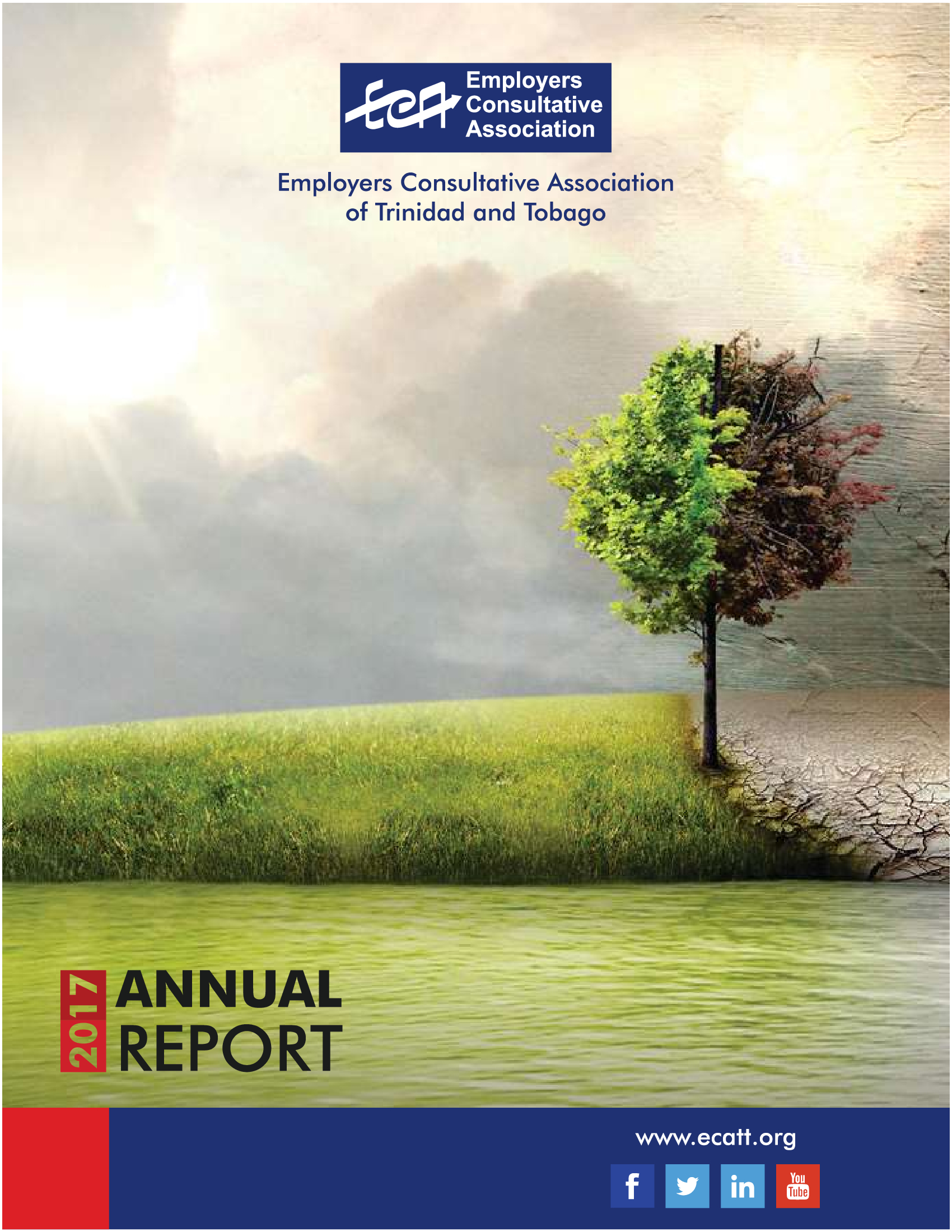 ECA Annual Report 2017
