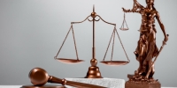 Disciplinary Hearings 101: A Comprehensive Guide to Mastering the Process